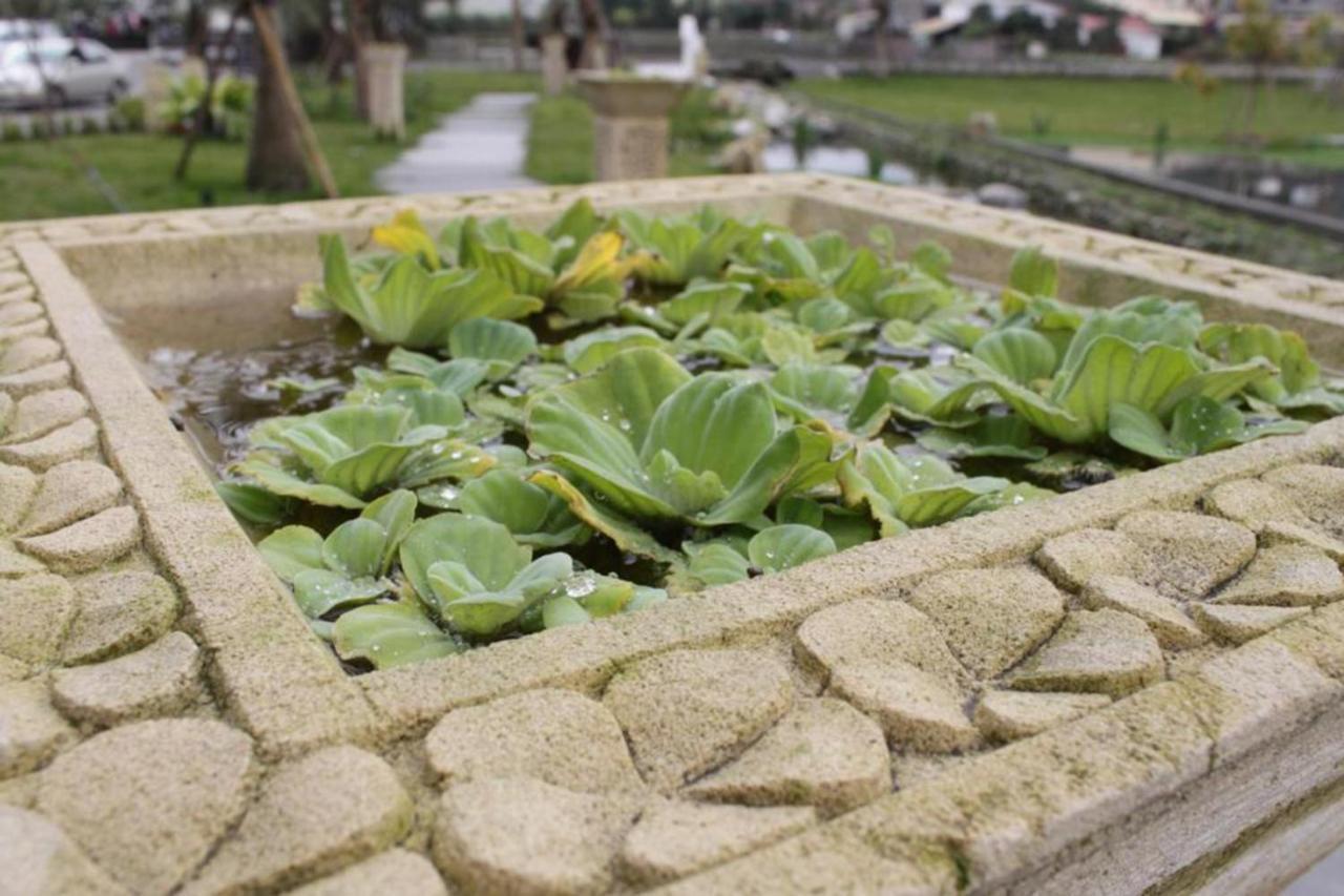 Aqua Star Villa Homestay Dongshan  Eksteriør bilde